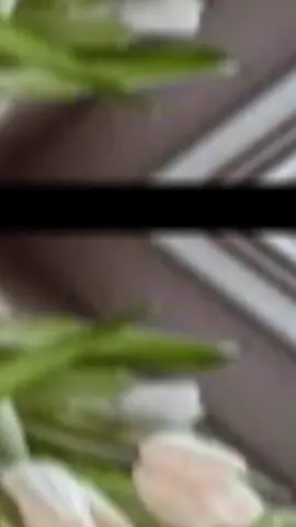 #CapCut #الحمدالله_دائماً_وابداً #متابعه_ولايك_واكسبلور_فضلا_ليس_امر #متابة💥_حته_تشاهد👀📹_المزيد #متابعه_ولايك_واكسبلور_فضلا_ليس_امر 