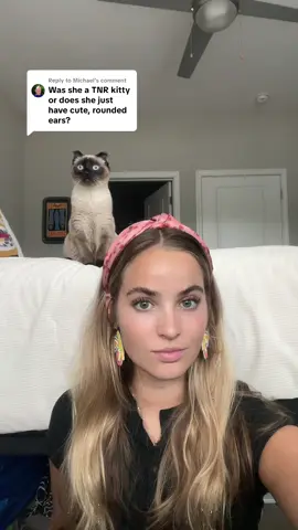 Replying to @Michael #greenscreen more figgy content! #cattok #balinese #siamese #kitten 
