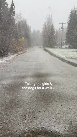 What a beautiful day it is here today! We’ve had a slow, wonderful morning enjoying the first snow of the year! ❄️ #snow #snowday #snowfall #snowbunny #walk #walking #life #Lifestyle #slowdown #enjoylife #enjoyinglife #alaska #alaskatok 