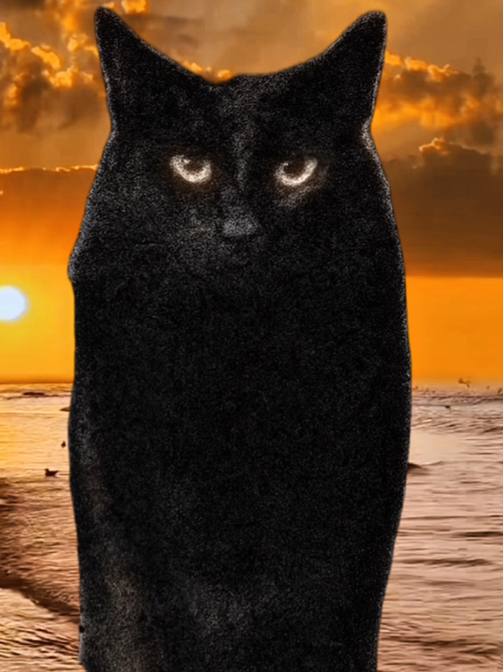 🥀🥀🥀 #fyppppppppppppppppppppppp #brainrot #shitpost #sound #corndogcat