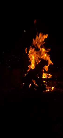 #غليص_ولد_رماح 