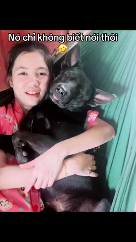 Thật là… #chócon ##yeucho #chó_cỏ 