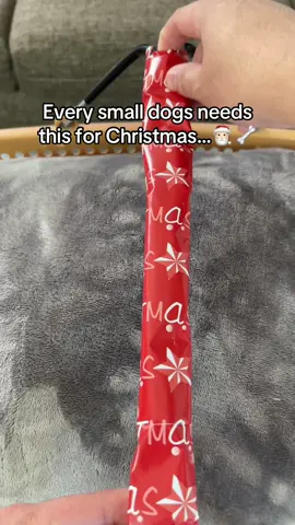Best Christmas gift ever!💕🎅🏻 #tiktokmademebuyit #doglover #toastyhoody #smalldog #toastyhoody 