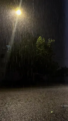 #tunisia🇹🇳 #الشعب_الصيني_ماله_حل😂😂 #viralvideos #algerie🇩🇿 #abdougambetta #explore 