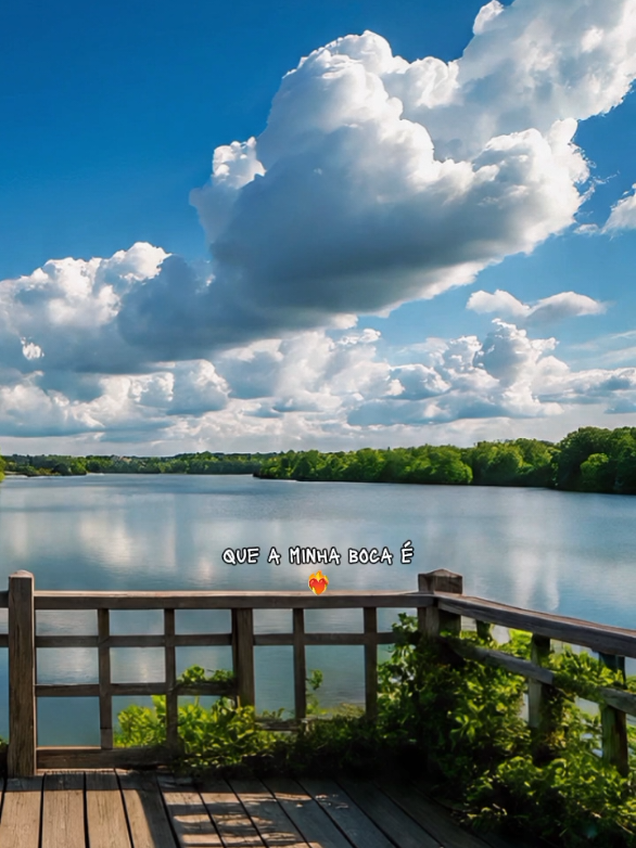 Aceita logo que me ama #tarcisiodoacordeon #CutTok #capcut #capcutpioneer #pioneertemplate 