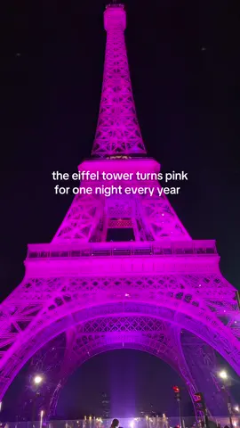 September 30: save the date 💖  We made sure to bike over and catch it this year, the Eiffel Tower really is that girl 💅  #americaninparis #eiffeltower #pinkoctober🎀 