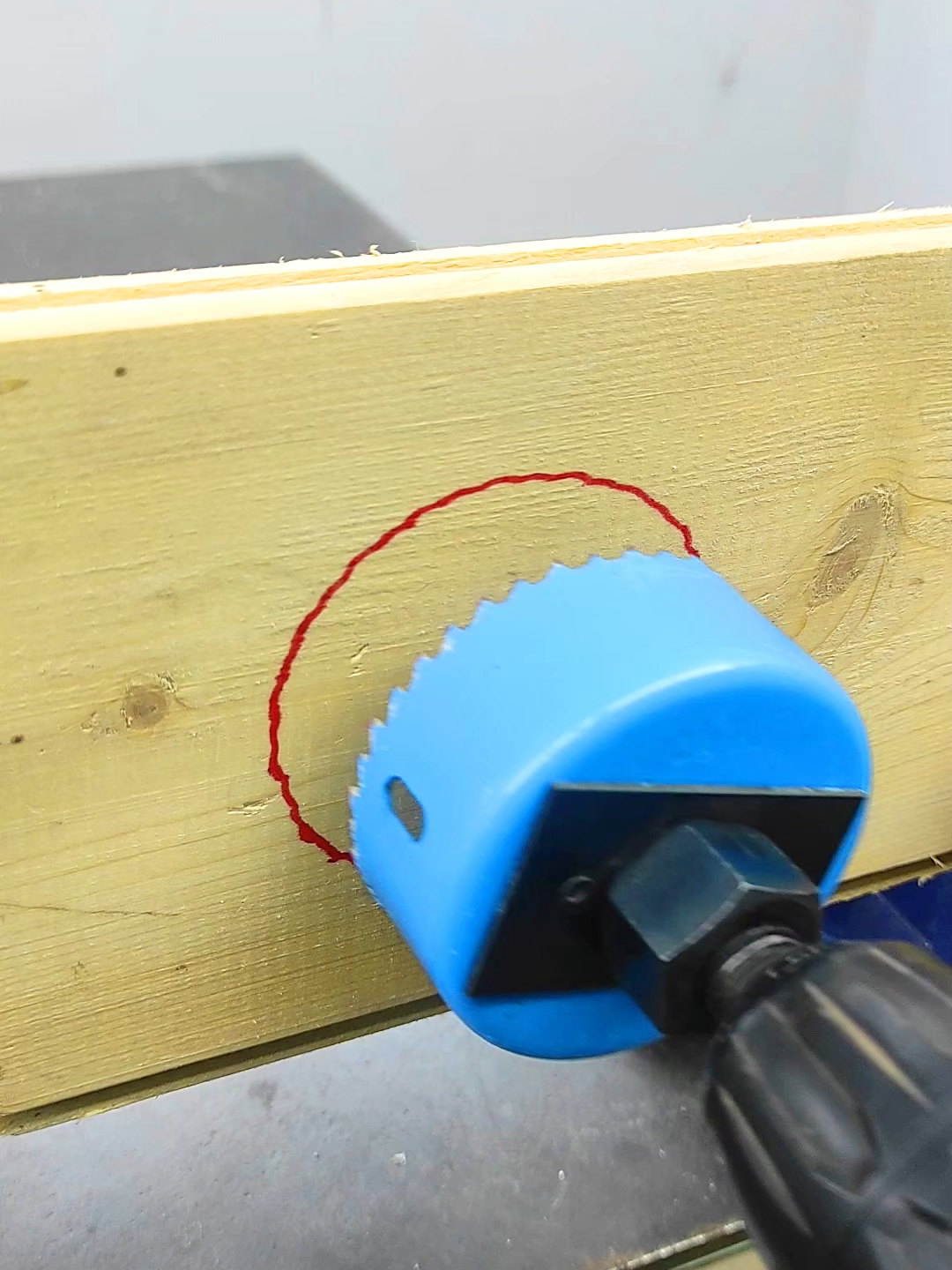 This Simple but Useful Life Hack #shorts #diy #tips #tricks #gardening #tools #lifehacks