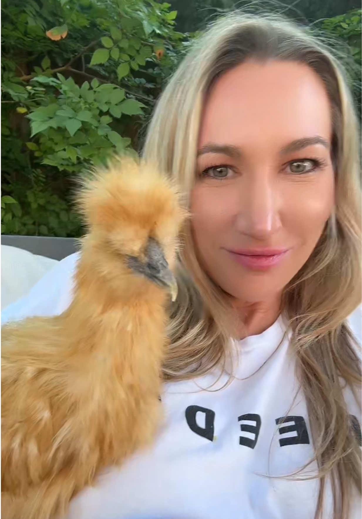 This is my favorite of my chickens. She has a genetic disposition and that’s why her beak is crooked. She seems to get along just fine and is absolutely the sweetest.