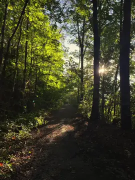 Morning walks ✨
