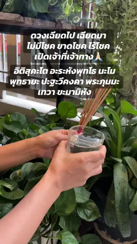 อิติสุคะโต อะระหังพุทโธ นะโมพุทธายะ ปะฐะวีคงคา พระภุมมะ เทวา 🙏🏻ขะมามิหัง #เทรนด์วันนี้ #เทรนด์วันนี้tiktok #