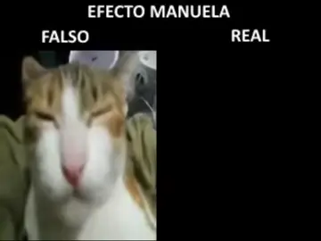 #crepipastadeterror  #pepeestesech  #mitioandahot  #pendejonoduranada #miedoterror