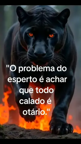 #motivacional #reflexão #motivação 