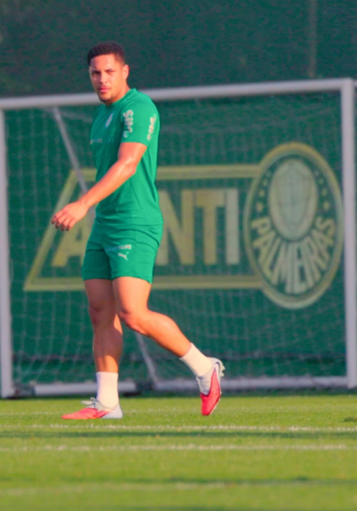 Meu 9️⃣ faz tudo! 🤩🔥 #TikTokEsportes #Palmeiras 