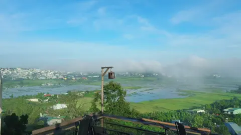 Welcome to Phía Sau Nhà. Mùa săn mây lại đến rồi các tình yêu ơi.Video được quay lúc 7h sáng nha#phiasaunhacaffe #pleikugialai #171buidinhtuy #sanmay 
