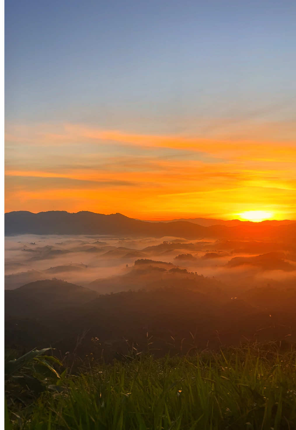 Bận đã đến đồi dổi chưa ạ,#sănmây #chill #camping #checkin #hot 