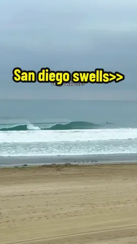 Surfers dream #surf #surfing #surftok #sandiego #surfer