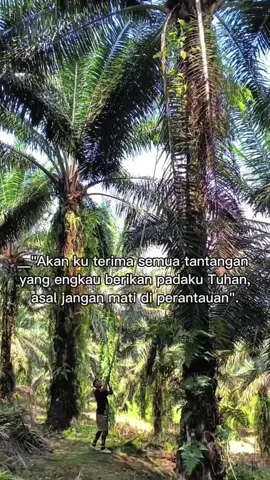setinggi harapan 🗣️  #fouryou  #nttpride🏝🔥  #fyppppppppppppppppppppppp  #kulihsawit🌴🌴  #masukberanda 
