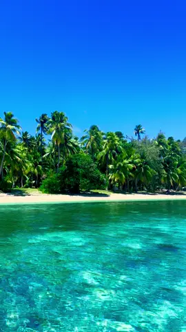 Moana vibes 🏝️🥥💦☀️🇫🇯 #fiji #moana #tropical #paradise #magical 