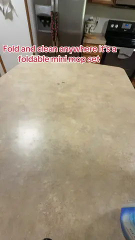 #minimopfoldcleananywhere #minidesttopmop #kitchencleaning #cleaning 