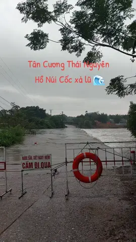 Tân Cương Thái Nguyên Hồ Núi Cốc xả lũ ngập hết cả rồi 🌊#queemmuanuoclũ 