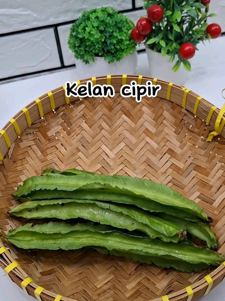 Simbok njaluk dikelakne cipir #resepmasakan #masakanrumahan 