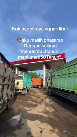 #fyp #viral #derivermuda 