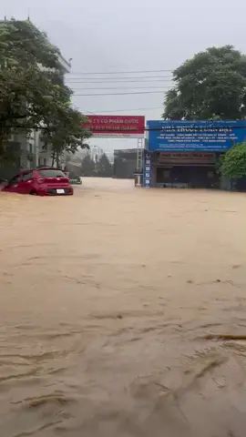 Xe vinfat đỏ nhà bác nào tập bơi đây 🥲