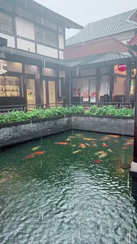 วันฝนตก🌧️☔️