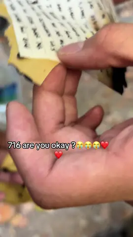 Hike Felt Unreal #716 #buffalo #letter