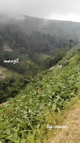 #sumbing #perjalananhidup #gunungindonesia #pemandanganindah #touring 