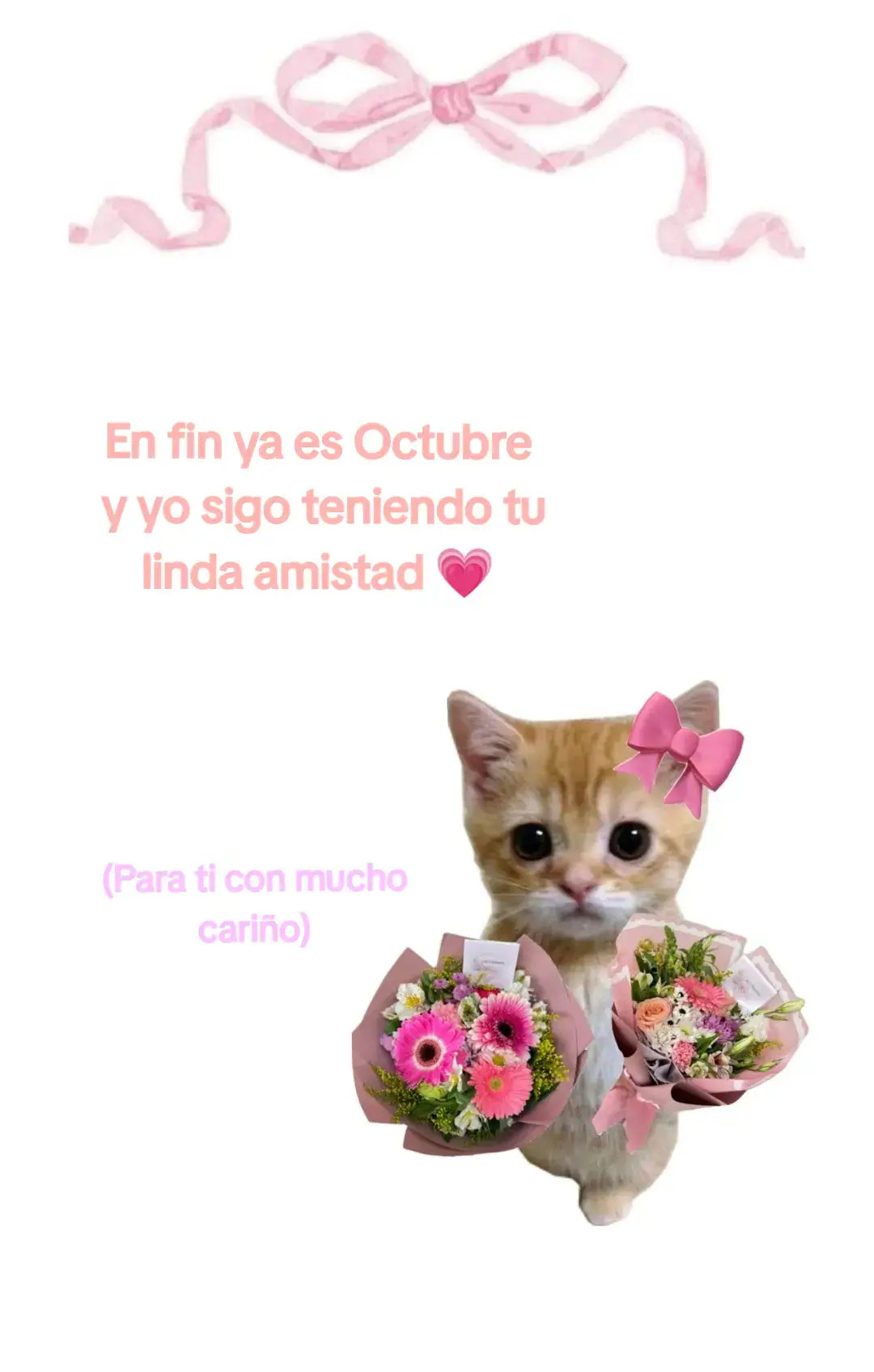 #01 #paradedicar #contenido #creatorsearchinsights #amistad 