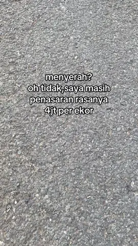 #peternakmuda #peternakkambing #pekaligesing #peternakindonesia #fyp #kediri24jam 
