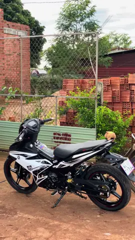 Baga lưới Xiken mạ titan siêu đẹp cho Ex150 #xuhuong #viral #dochoixemay48 #xedovietnam #y15zr 