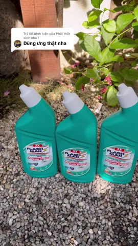 Trả lời @Phải thật xinh nha ! #nuoctayboncau #flashman #giadungtienich 