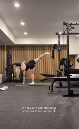 My goal is to start stretching everyday so here we are 🫡