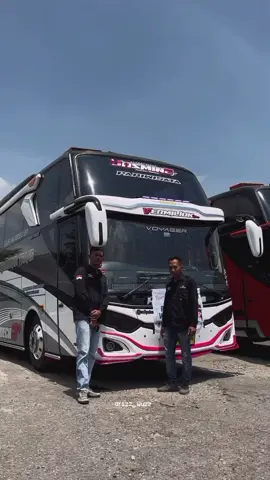 putri jasmine #primadonatransofficial #busmaniacommunity #xyzbca #fypシ #foryoupage  ftg: -@_andikayogazytt  -@raffirfani_  -@official_putrijasmine007 