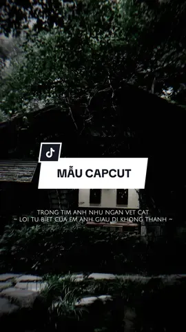 #CapCut Trong tim anh như ngàn vết cắt lời từ biết của em anh giấu đi #capcutmaster #nhachaymoingay #xuhuong 