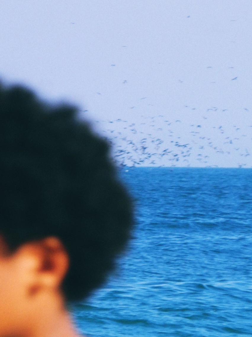 Essa é uma série de fotografias esquecidas que tirei num dia LINDÍSSIMO na praia do Arpoador.  Eu usei uma Olympus SZ14 de 14 mp. É uma das minhas câmeras preferidas!!  Espero que vocês gostem 🫶 #digicam #streetphotography #riodejaneiro #fotografia #olympusphotography 