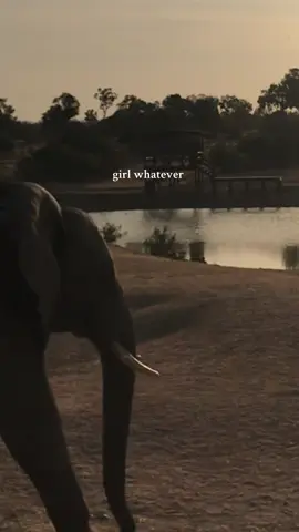 still the coolest thing I’ve done ever #girlwhatever #trending #traveltok #travelvideos 