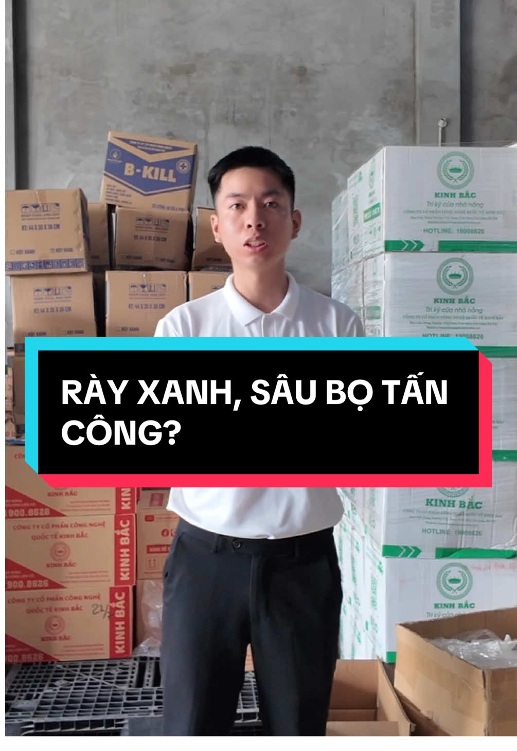 Trị các loại côn trùng như rày xanh, rệp sáp, bọ, sâu,... chỉ với 1 lần phun!