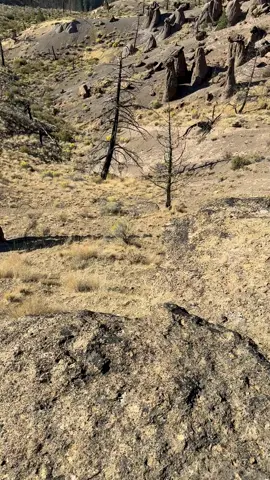 The west is still pretty wild. Balancing Rocks | Central Oregon  #oregon #travel #wildwest 