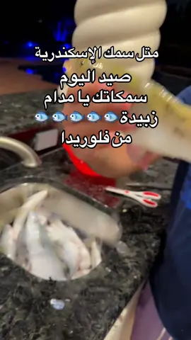 @Mirna k #LanguageLearning #فولو_اكسبلور #fypシ゚viral #مصر #fypシ゚viral 