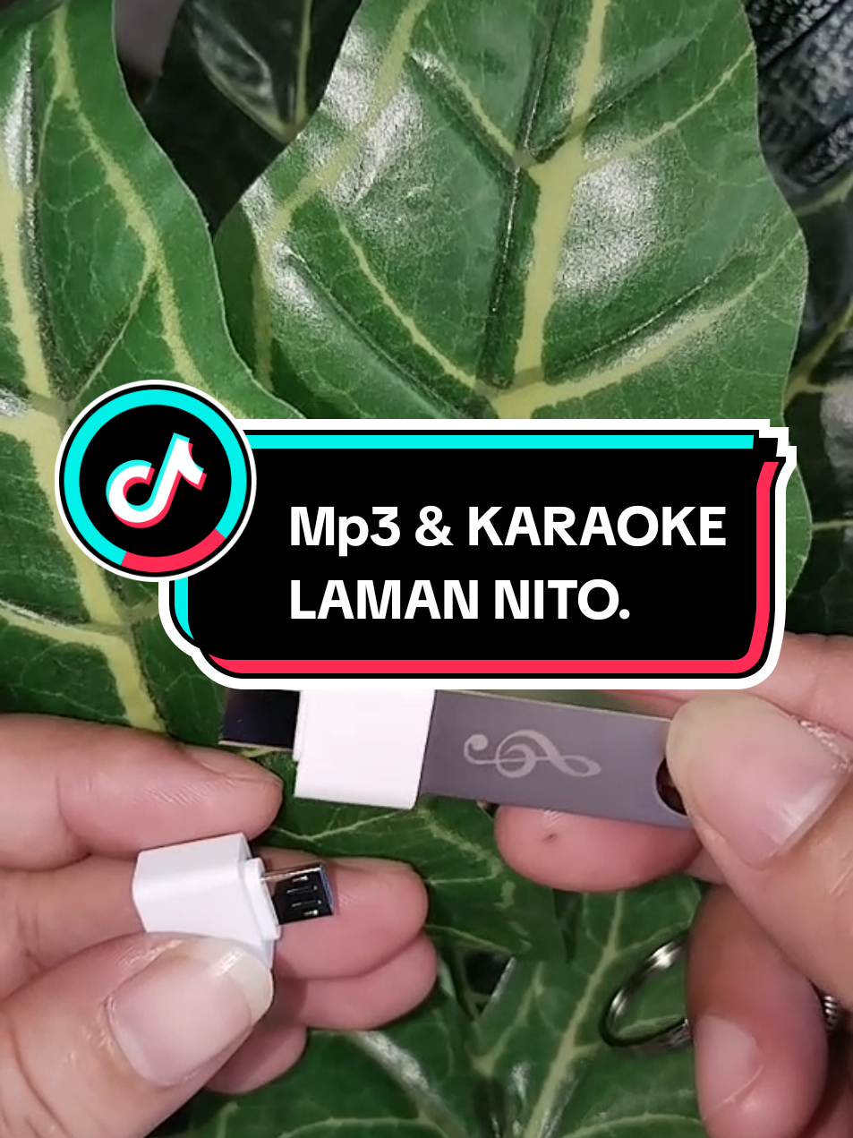 Replying to @marlene.camo  #karaoke #videoke #music #sound #song 