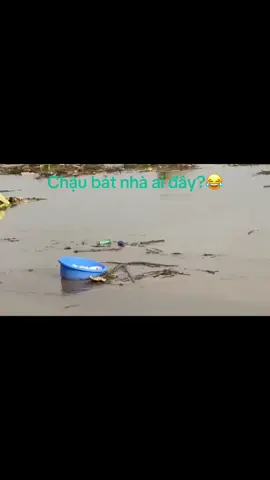 Và khi mưa đến, bát nhà ai đã ra sông ?😂#newyear 