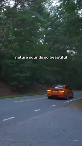 Nature really does need more E92’s #m3 #bmw #bmwm 