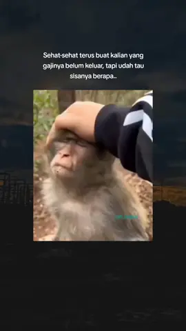 termasuk saya..#fyp #foryou #cb 