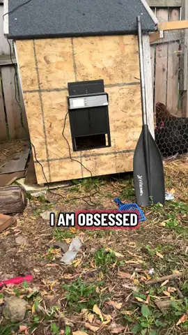 Such a game changer!! #dog #chickens #hens #farm #dogtok 