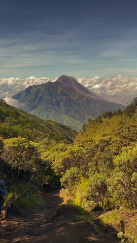 Mau merbabu lagi lagi dan lagi #merbabu #masukberandafyp #fypage #merbabuviagancik #pendakiindonesia 