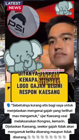 Ada gajah dibalik batu,batunya hilang gajah pun datang... #trendingberitadalamnegri🇲🇨 #filosopigajah #ketumpsi #kaesangpangareppolitik #logogajahpsi @Sorotan Peristiwa