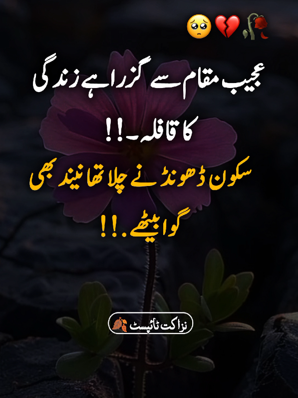 #sadlines #sadpoetry #foryoupage❤️❤️ #viwesproblem😌🙏💔 #nazakatwrites 